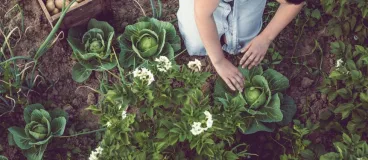 Une jeune femme agenouillée au milieu de ses légumes dans son jardin