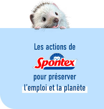 Les actions de Spontex pour préserver l'emploi et la planète