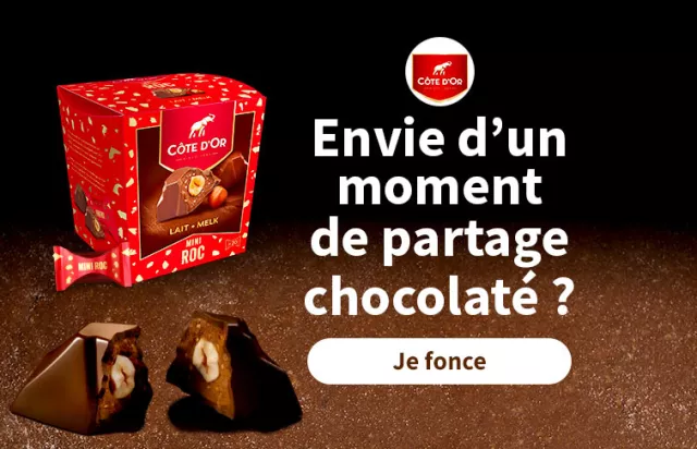 Côte d'Or, Tablettes de chocolat