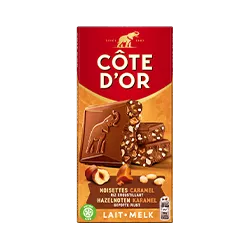 Côte d’Or Noisettes Caramel Riz croustillant Lait