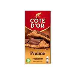 Côte d'Or Praliné Fondant Lait