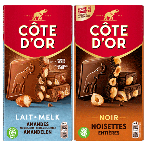 Côte d'Or Bloc Noir Noisettes + Lait Amandes