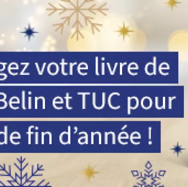 Belin Noël card reduc