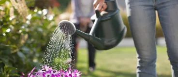 Une femme arrose les plantes de son jardin