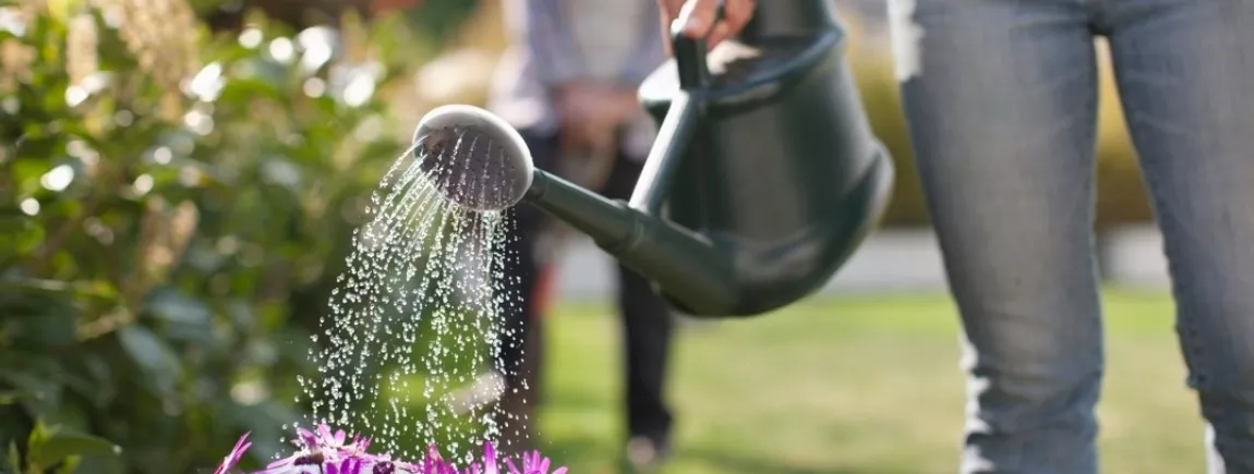 Systèmes d'arrosage: En été, ne laissez pas votre jardin et vos plantes  souffrir de la sécheresse