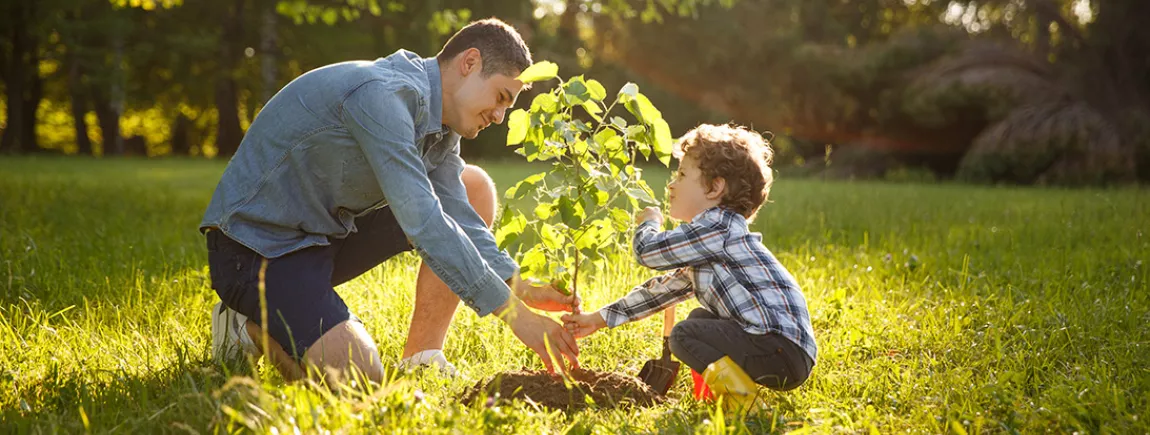 Astuces vertes pour planter un arbre