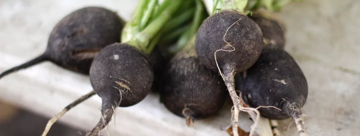 Le jus de pomme de terre, l'allié de votre estomac