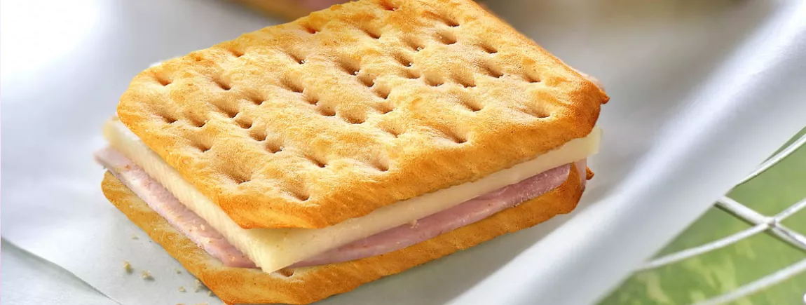 Mini croque-monsieur au TUC® 