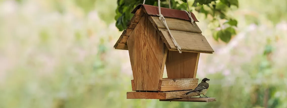 Mangeoire pour oiseaux en bois à décorer