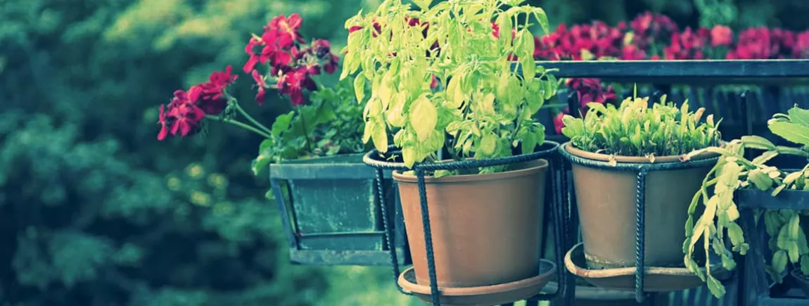 Comment fabriquer un porte-plantes suspendu pour votre terrasse ?