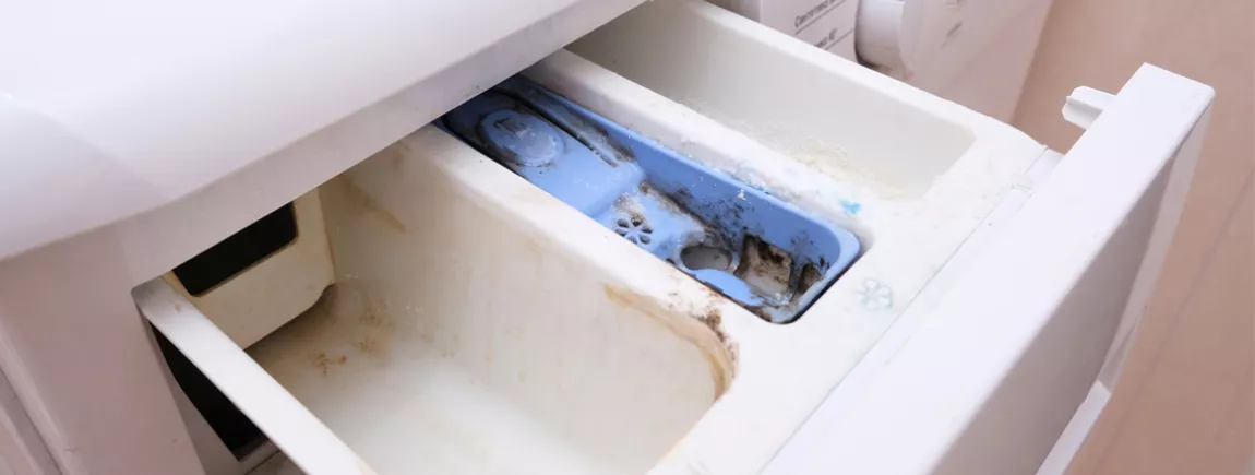 Dans quel bac mettre la lessive : nos conseils lavage ? Blog BUT
